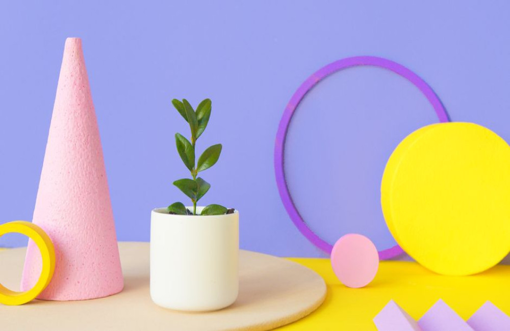 Neotenic design interieur tips: schattig wonen in 2026