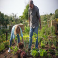 Welke kleding trek je aan in de moestuin?